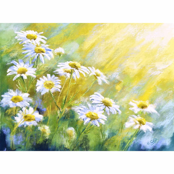 White daisy flowers illuminated by the sun's rays, painting