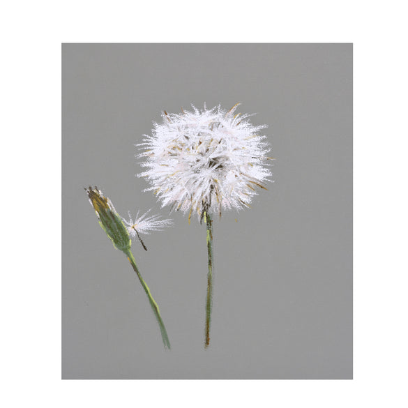 Dandelion seed head painting