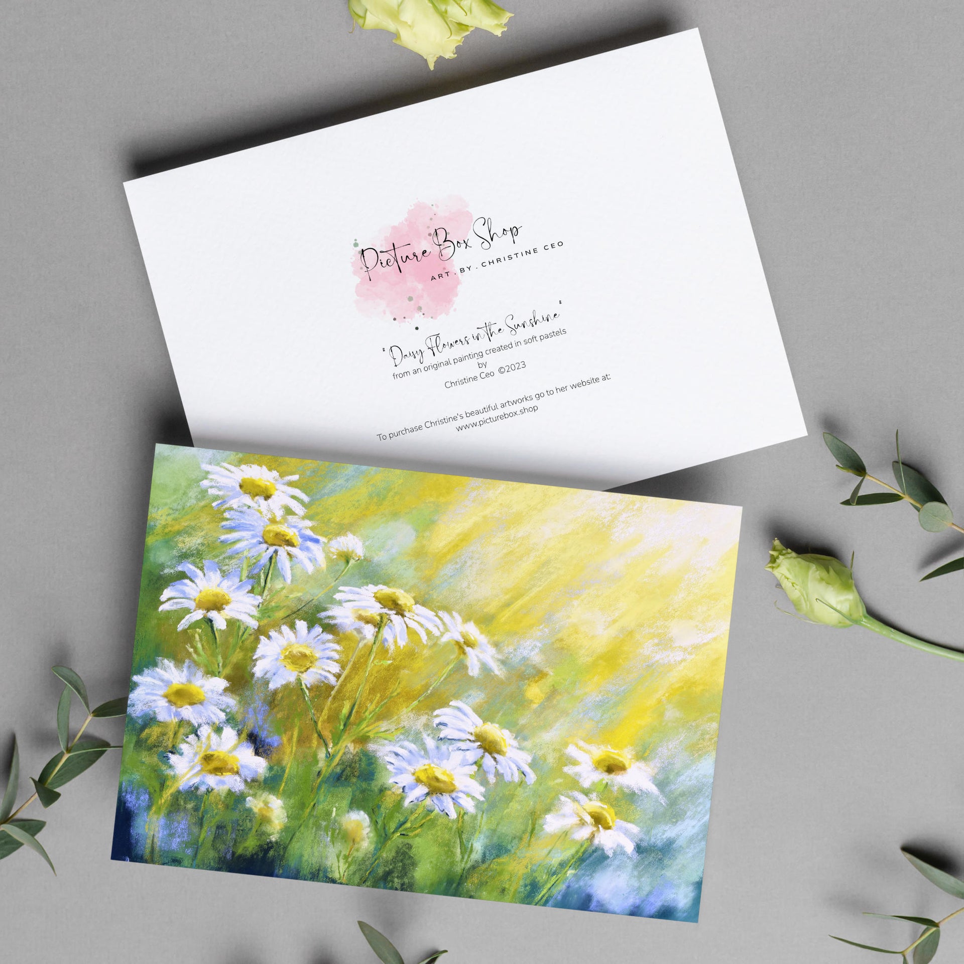 Daisy Flowers in the Sunshine greeting card. Front and back view