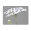 Queen Anne's Lace flower art placemats. Grey and White placemats