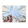 Tree art table placemat. Rectangular.