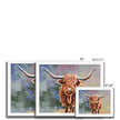 Colourful Scottish Highland Cow painting, art prints in a white frame. Different sizes