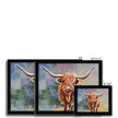 Colourful Scottish Highland Cow painting, art prints in a black frame. Different sizes