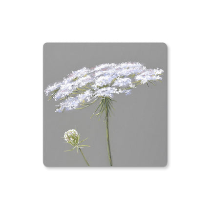 Queen Anne's Lace Flower, grey and white coasters