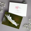 White daisy flower, floral greeting card. Front and back views