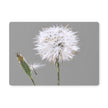 Dandelion seedhead art placemat. Grey and white  table placemat