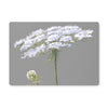 Queen Anne's Lace flower art placemats. Grey and White rectangular table placemats