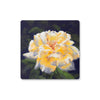 Yellow rose art drinks coaster