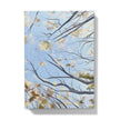 Tree canopy artwork hardcover journal