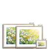 Daisy Flowers in the Sunshine artwork, fine art prints in a natural frame with white mount. Different sizes