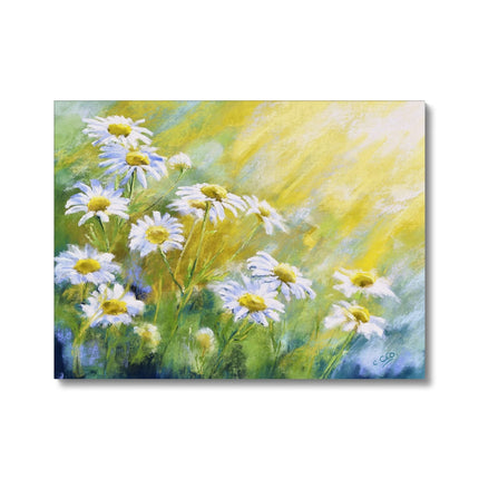 White daisy flowers canvas art print