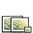 Daisy Flowers in the Sunshine artwork, fine art prints in a black frame with white mount. Different sizes