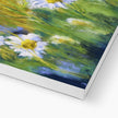 Daisy Flowers illuminated by the sunshine artwork canvas print. Close up of bottom corner detail with white wrap