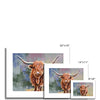 Scottish Highland Cow fine art prints. Different sizes