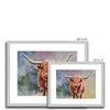 Scottish Highland Cow painting, fine art prints in a silver frame with a white mount. Different sizes