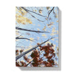 Fall Tree Canopy artwork hard back journal