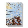 Fall Tree Canopy artwork hard back journal