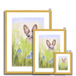 Cute Rabbit in the meadow flowers fine art prints in gold frames with white mount. Different sizes