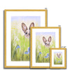 Cute Rabbit in the meadow flowers fine art prints in gold frames with white mount. Different sizes