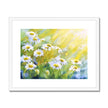 Daisy flowers twinkle in the sunshine, fine art print in a white frame with a white mount