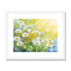 Daisy flowers twinkle in the sunshine, fine art print in a white frame with a white mount