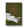 White Daisy flower hardback journal notebook