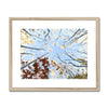 Autumn tree canopy artwork, fine art print in natural light wooden frame with white mount. 