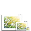 Daisy Flowers illuminated by sunshine, painting. Canvas art prints. Different sizes