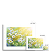 Daisy Flowers illuminated by sunshine, painting. Canvas art prints. Different sizes