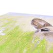 Brown Rabbit peeping over the meadow flowers and grasses artwork, canvas print. Close up, showing grain of fabric. Eco and Vegan-friendly art print 