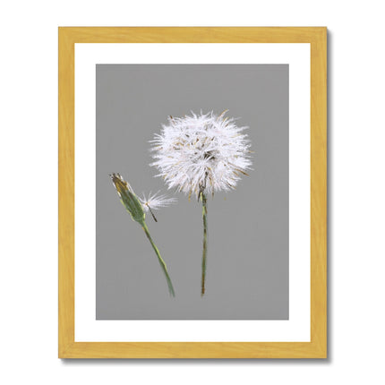 Dandelion Seed art print with white border  in gold frame