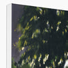 Illuminated stretched canvas nocturne landscape canvas art print. Close up of top corner and white wrap