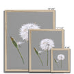 Minimalist, dandelion seed and bud art prints in natural light wooden frame. Different sizes