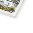 Tree Canopy in Fall, fine art print in white frame. Corner detail.