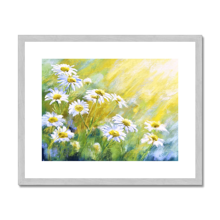 Daisy flowers twinkle in the sunshine, fine art print in a silver frame.