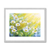 Daisy flowers twinkle in the sunshine, fine art print in a silver frame.