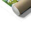 Daisy Flowers in the Sunshine artwork. Fine art print. Unframed. Corner detail and cardboard tube used for shipping purposes