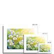 Daisy flower. Floral landscape art prints. Different sizes.