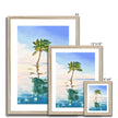 Palm Tree wall art prints. Framed. Different sizes