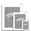 White and grey floral artwork print. Different sizes