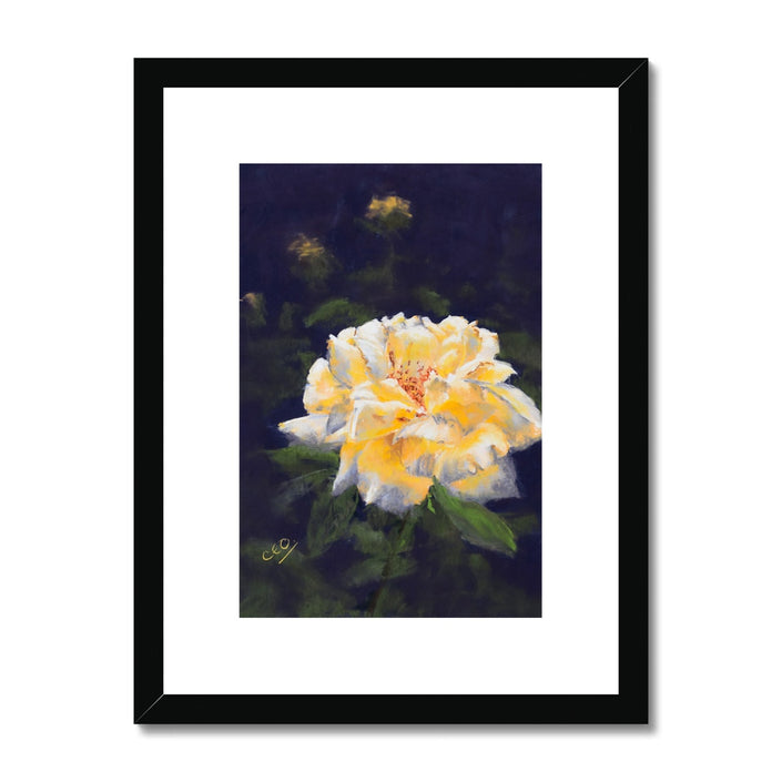 Yellow Rose on dark violet background, artwork fine art print in Black frame with white matt