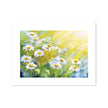 White Daisy Flowers illuminated by sunshine, painting. Canvas art print. Landscape format