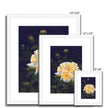 Yellow rose artwork prints with white frame and white mount. Portrait orientation. Different sizes