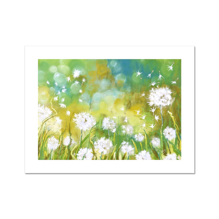 Dandelion seed heads and grasses fine art print with white border. Landscape format