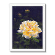 Yellow rose flower fine art print. White frame