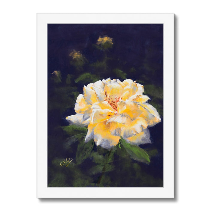 Yellow rose flower fine art print. White frame