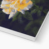 Rose flower artwork canvas art print. Corner detail showing white wrap 