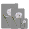 Dandelion art eco-friendly canvas fine art prints. Grey and white