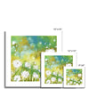 Dandelion seed heads artwork prints. Different sizes