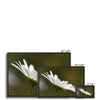 White daisy flower fine art photographic canvas print within a black picture frame. With white wrap. Different sizes.